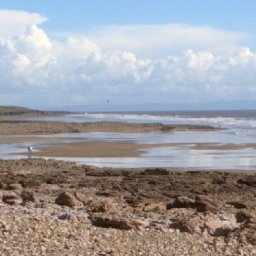 the-hidden-gem-beach-where-you-can-spot-dolphins-and-take-the-dog