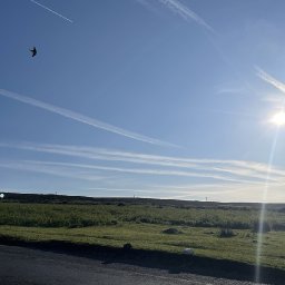 experts-say-40c-heat-becoming-increasingly-likely-in-uk-ahead-of-climate-report