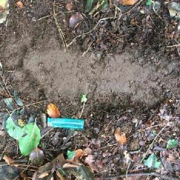 expert-lifts-lid-on-welsh-bigfoot-tracks-after-seeing-6ft7-beast-make-them