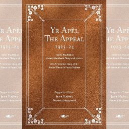 review-yr-apel-the-appeal-the-remarkable-story-of-the-welsh-womens-peace-petition