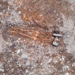 important-archaeological-finds-including-arrowheads-and-skeletons-unearthed-during-restoration-works